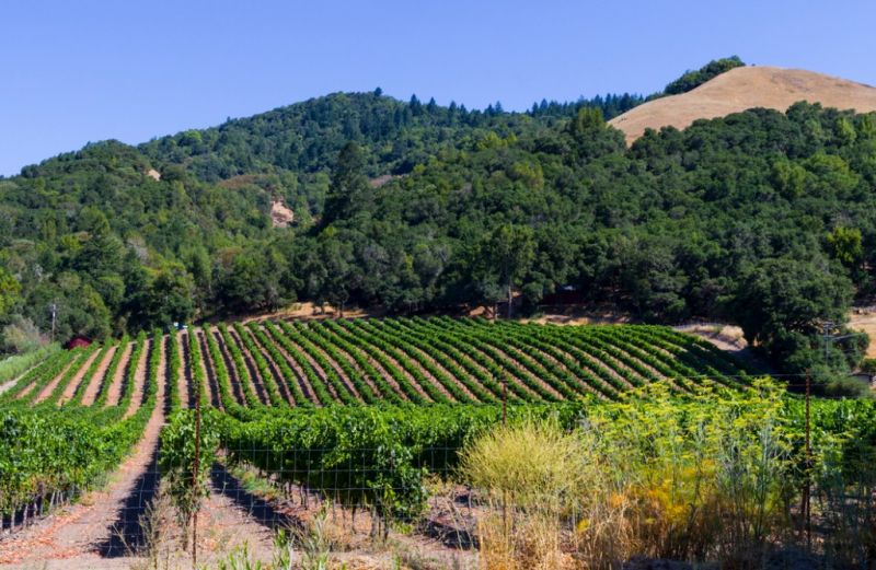 Best Bathroom Remodeling pros in San Mateo, CA